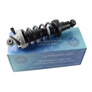 China Audi R8 Rear Air Suspension Shock 420512019AL 420512020AL on sale