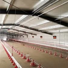 Automatic Steel Structure Poultry Farm Shed Design Modern Chicken House