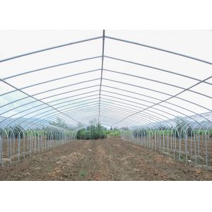 150Micron Single Span Greenhouse Customizable Plastic Film Greenhouse