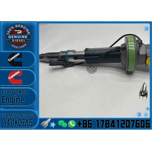 Construction Machinery PartsFuel Injector For QSK19 Diesel Y431K05429 Y431KO5205