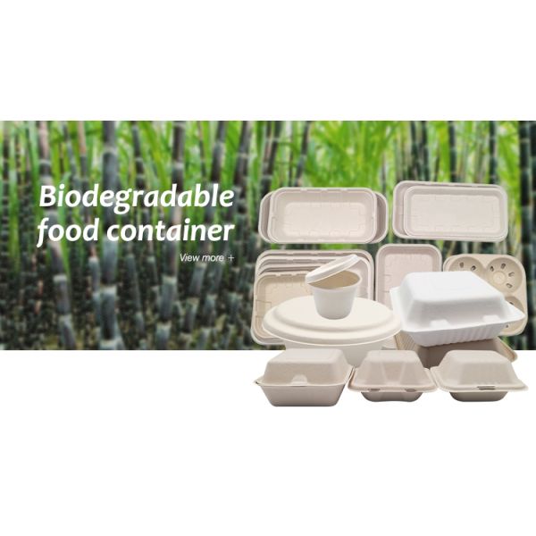 Eco Friendly Food Biodegradable Bagasse Tableware Sugarcane Containers For Camping