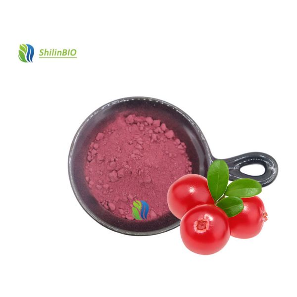 Wholesale Bulk 25% Anthocyanins Cranberry Extract Powder Cranberry Extract