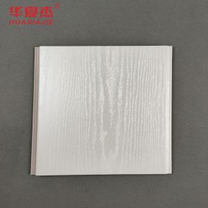 Lightweight Plastic Wall Covering Panels For Hospital With Hot Stamping