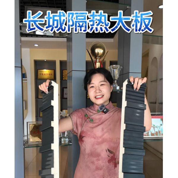 Buy Customizable Fire Rated PU Sandwich Roof Panel Great Wall Panels at wholesale prices