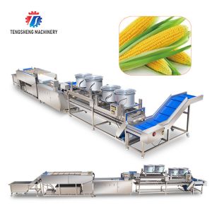 China Kiwi Carrot Taro Vegetable Brush Bubble Cleaning Machine 2.5KW on sale