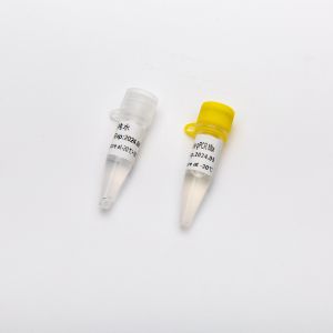 Multiplex Probe qPCR Mix for DNA real time PCR 5ml