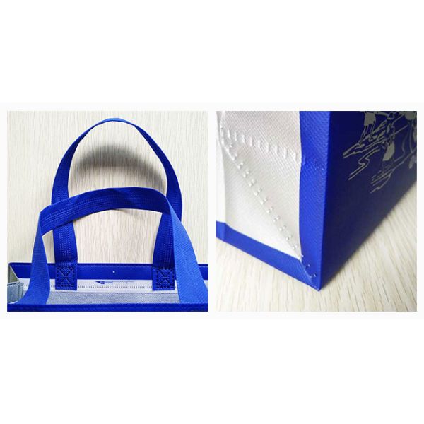 Eco Friendly Non Woven Shopping Bags Silk Screen Non Woven Shoe Bag