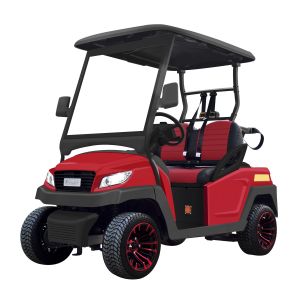 Advanced Golf Buggy Cart 2 Passenger 48V Lithium Battery With Curtis Controller