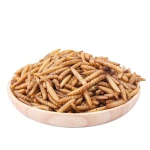 Quality GMP+ FDA Insect Dried Black Soldier Fly Larvae High Protein for sale