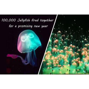 China New Year Toy Firework Jellyfish Consumer Novelty Fireworks Skyshots Pyrotechnic on sale