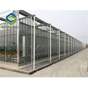 275g/m2 Side Ventilation Glass Hydroponic Greenhouse For Flowers