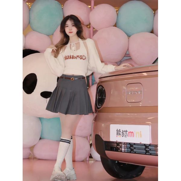 GEELY Panda Mini 2 Speakers And 1 Camera Sport And Comfortable Two Driving Modes Choice Electric Car With Synchronous Motor