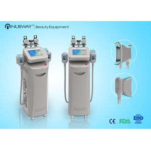 China new big promotion cryo cryolipolysis slimming equipment (NBW-C325) on sale