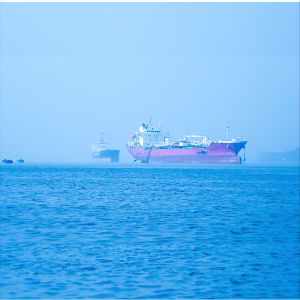 China International Sea Freight Forwarding DDP From China To Indonesia on sale