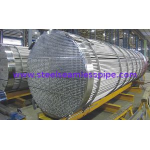 ASTM A213 / ASME SA213 Seamless Ferritic and Austenitic Alloy-Steel Boiler,