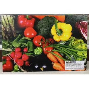 Automatic Industrial Inkjet Printing Machines , Digital Inkjet Printer