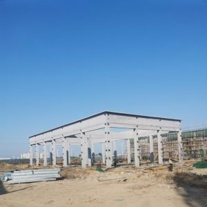 Fire Resistance Steel Frame Building Construction High Durability Prefab Metal