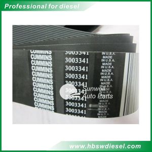 KTA38 engine Belt, V Ribbed 3003341