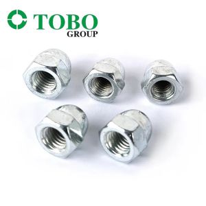 TOBO Promotion Stainless Steel Din1587 Cap Nut Stainless Cap Nut