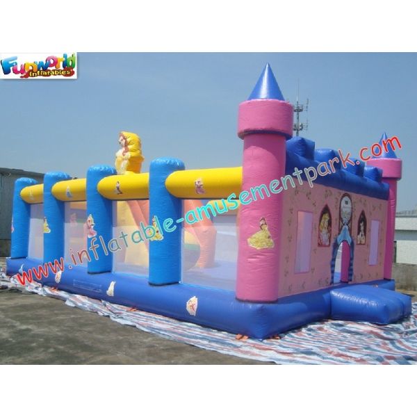 Customized Princess Giant Inflatable Amusement Park Games / Inflatable Funcity