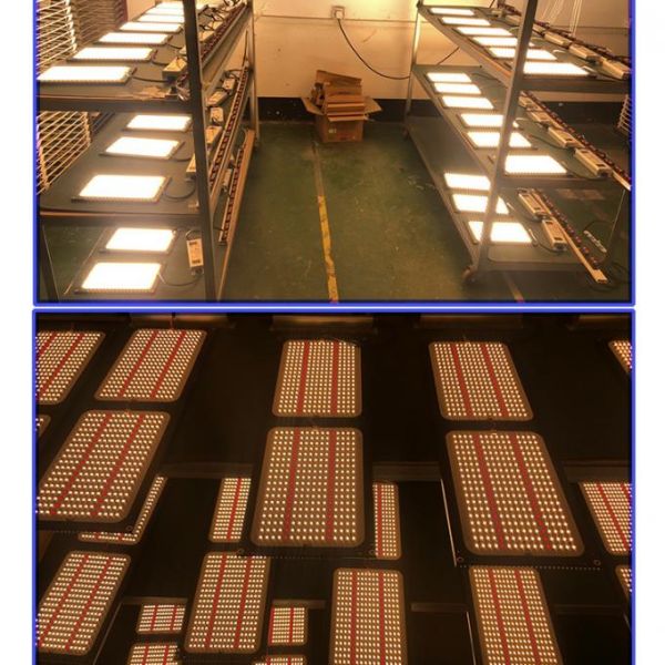 IBoard 120 AC100V Dimmable LED Grow Lights 2