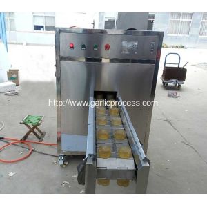 Automatic Garlic Peeling Machine for Sale
