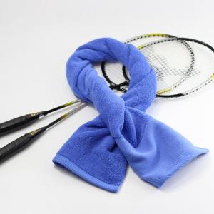 China Antibacterial Microfiber Sports Towel Customized Gym-Ready Sweat Towels on sale