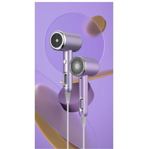 PROFESSIONAL High Speed Hair Dryer Air Styler Salon Hot Air Brush for Fast Hair