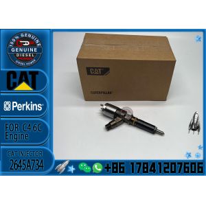 Common Rail Injector 306-9380 Fuel Injector Assembly 320-0680 2645A747 2645A734