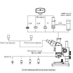 Trinocular WF10x/22 Digital Metallurgical Microscope A13.0212-DIC Infinity