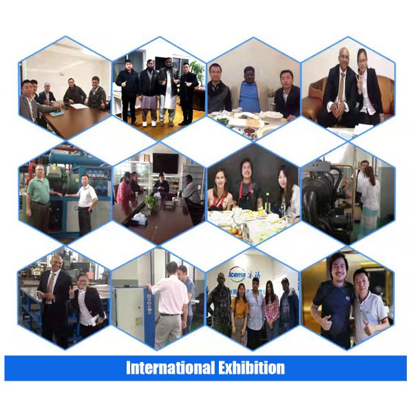 300kg/24h Output Cube Ice Maker Stainless Steel Suitable for Alcoholic Beverages