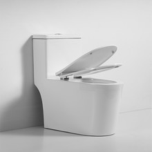 Ceramic One Piece Bathroom Toilets Modern Sanitary Ware Comfort Height