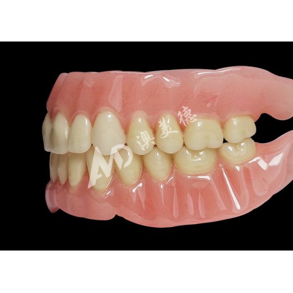 Buy Affordable Full Arch Acrylic Dentures for Comfortable Removable Dentures at wholesale prices