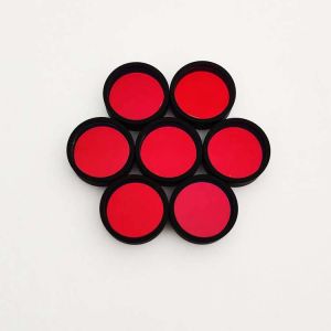 660nm Biochemistry Analyzer Filters Fiber Optic Bandpass Filter 10nm FWHM