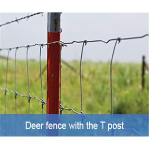 High Carbon Steel Wire 2mm Dia Fixed Knot Fence