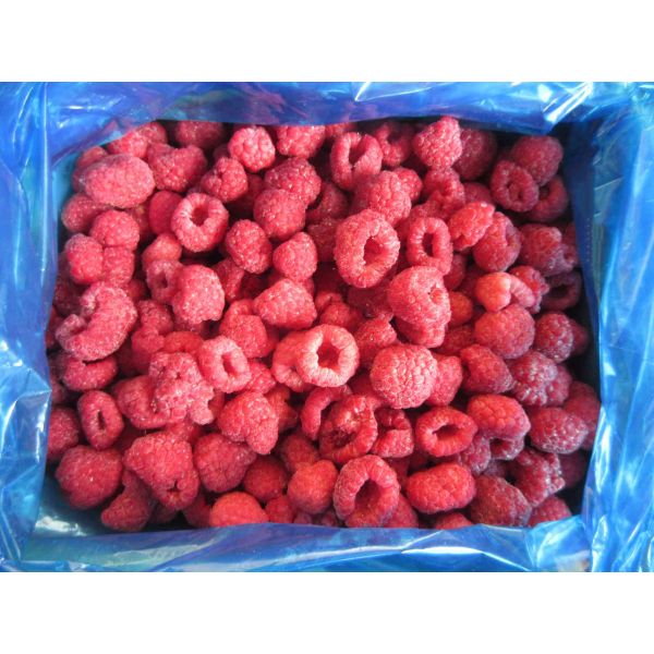Buy High Quality Bulk Frozen Raspberries Frozen Raspberry Bulk Packaging Fruit at wholesale prices