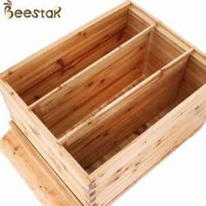 Beehive Apiculture Beekeeping Equipment Automatic Self Flowing for Beekeeping