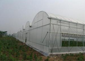 Quality Easy Install Agricultural Insect Netting , Anti Hail Netting For Greenhouse for sale