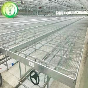 Quality 1.2mm Aluminium Greenhouse Bench GGS Rolling Benches Load 200kg for sale