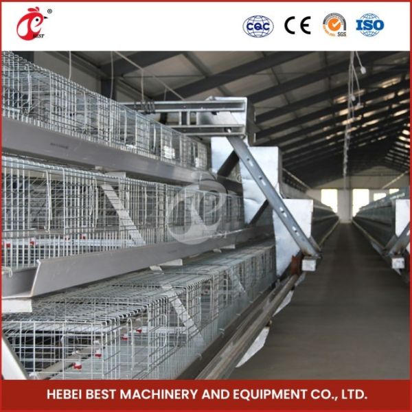 Hot Deep Galvanized Brooder Cage For Chicks Sustainable Poultry Production Star