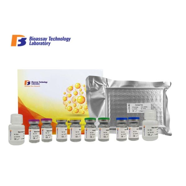 Laboratory Research Human ELISA Kit ANG-4 7.73ng/L Sensitivity With 2 Hours