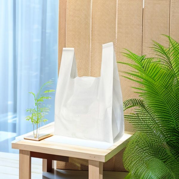 Buy Promotion Fruit Compostable Biodegradable Shopping Bag Custom Made at wholesale prices