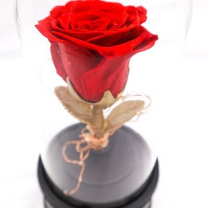 Customized Color Preserved Rose Glass Dome Bluetooth Speakers For Home