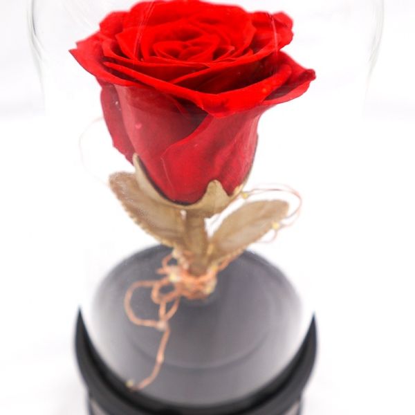 Customized Color Preserved Rose Glass Dome Bluetooth Speakers For Home