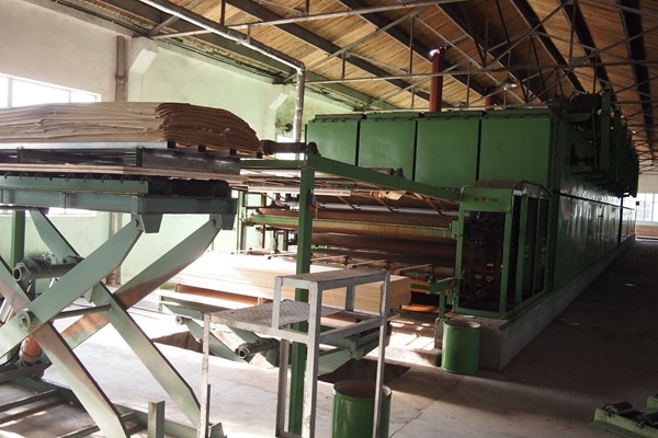 Engineered Wood Veneer Natural Oak Crown Cut / Straight Grain 0.5MM Export standard size for fancy panels NCO-L774/874/7004