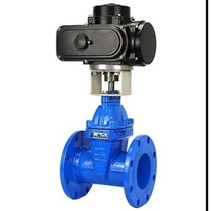 Excellent Stainless Steel Industrial Pipe Release Valves with OBM Customized