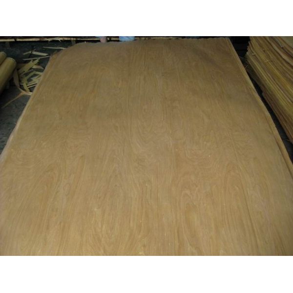 Buy Rotary Cut/Peeled Birch Wood Veneer Sheet at wholesale prices