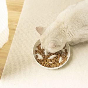 Pet Ceramic Cat Bowl Slow Food Bowl Anti-Choking Anti-Spill Anti-Knock Dog Slow