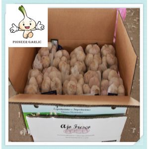 Fresh White Garlic Natural White Fresh Garlic For Sale