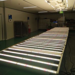 Wifi Master Controllor ETL 4000K Horticulture Grow Lights